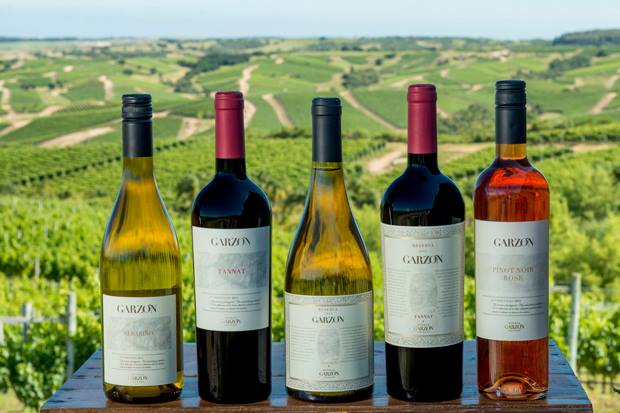 Bodega Garzon Wines