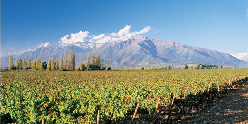 Top 10 Wine Producing Regions of the World - Chile