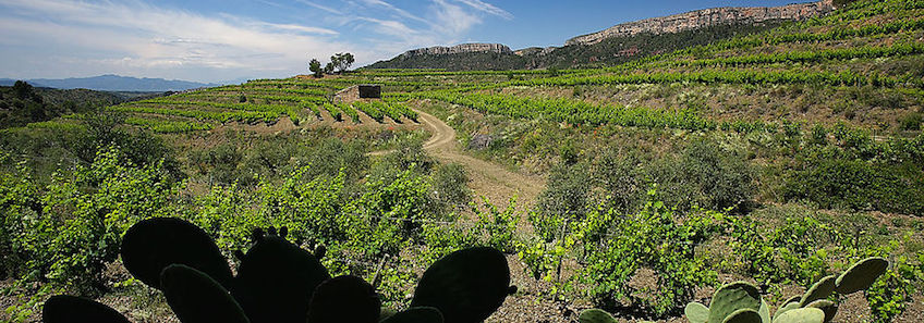 View over valley