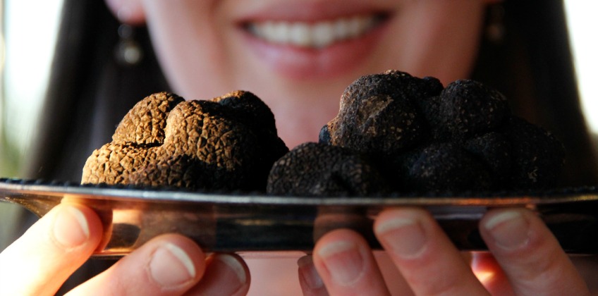 Napa Truffle Festival