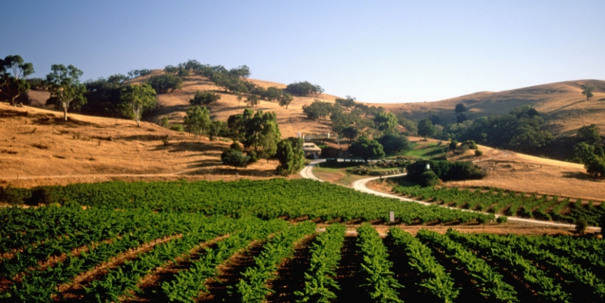 Top 10 Wine Producing Regions of the World - Australia