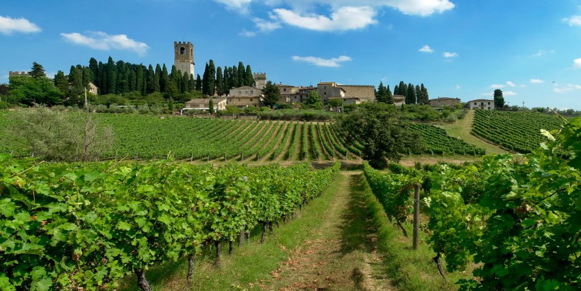 Top 10 Wine Producing Countries of The World - Italy