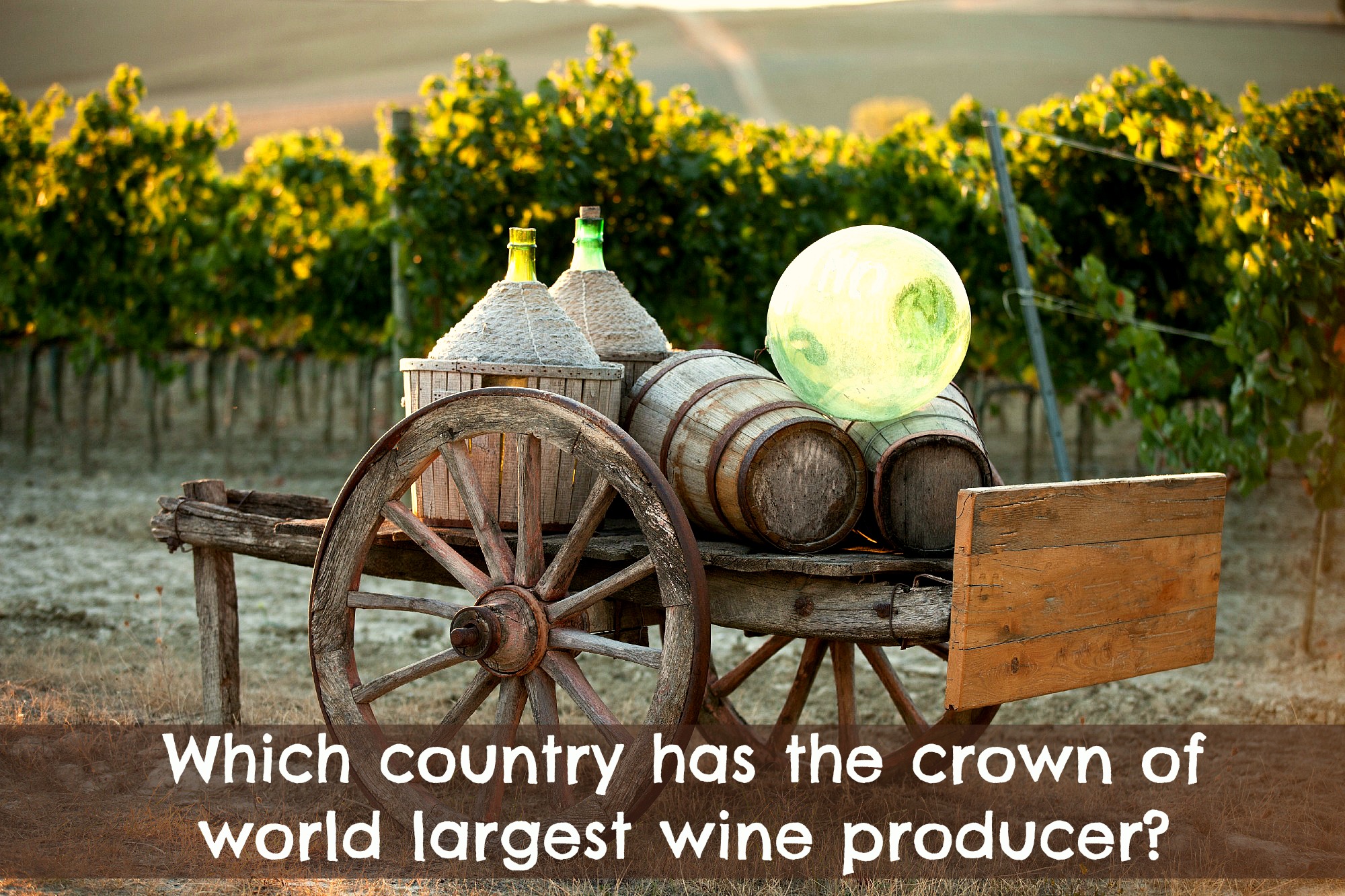 Which country has the crown of world largest wine producer?
