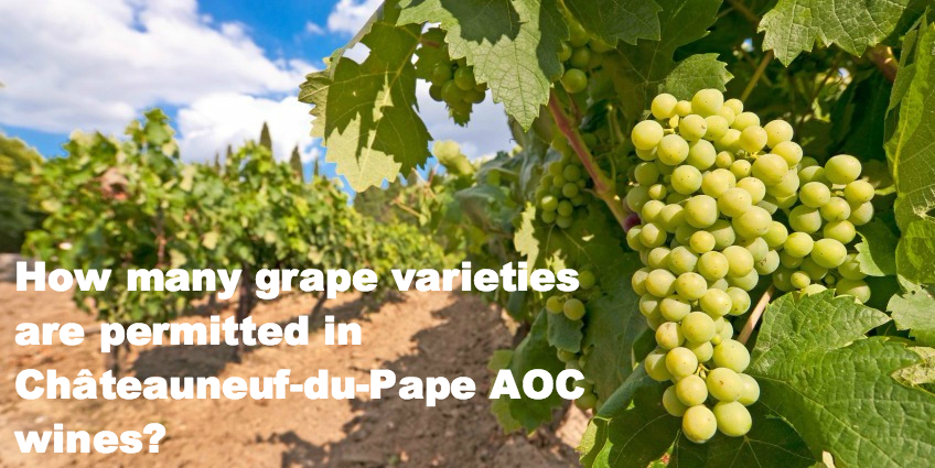 How many grape varieties are permitted in Chateauneuf-du-Pape AOC wines?