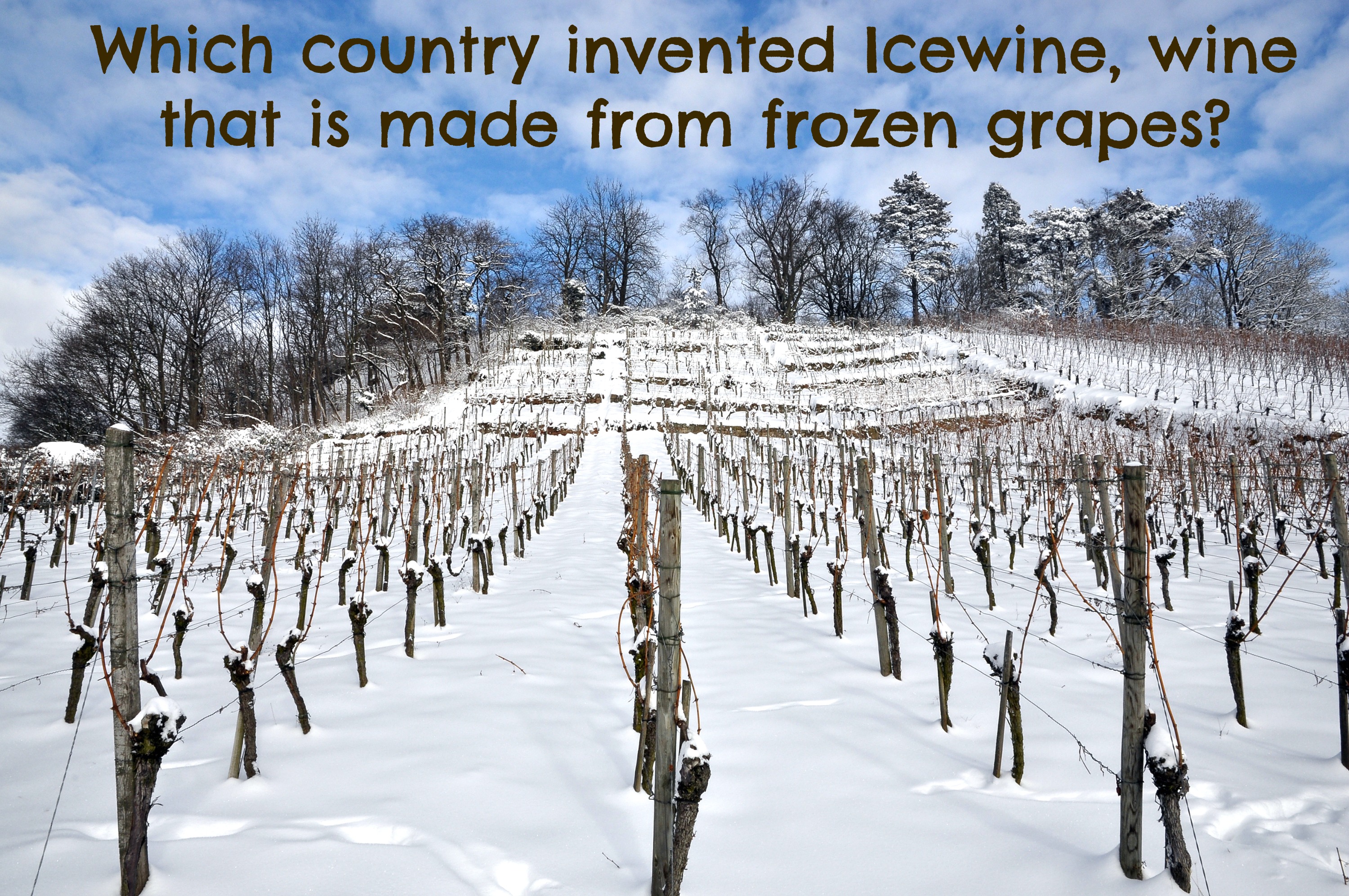 Which country invented Icewine, wine that is made from frozen grapes?