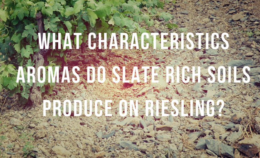 Slate-rich soils, such as those found in the more northerly wine-making areas in Germany, are thought to impart what characteristic aroma to Riesling wines?