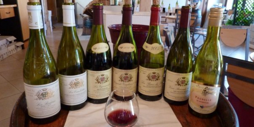 True or false: the classification system in Burgundy is based on the quality of the vineyards? 