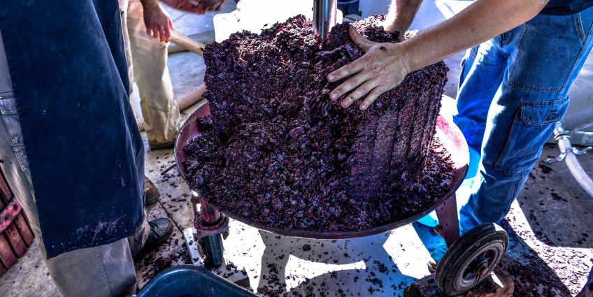 The Old World has welcomed the Australian winemakers to learn New World techniques from them and make use of their knowledge. By what name are those Australian winemakers known?