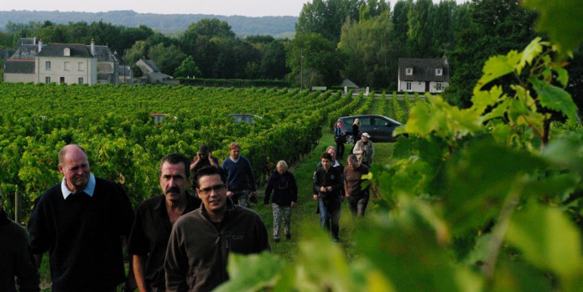 Best Wineries in The Loire Valley - Pierre and Bertrand Couly