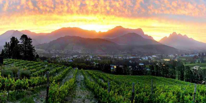 Top 10 Wine Producing Regions of the World - South Africa