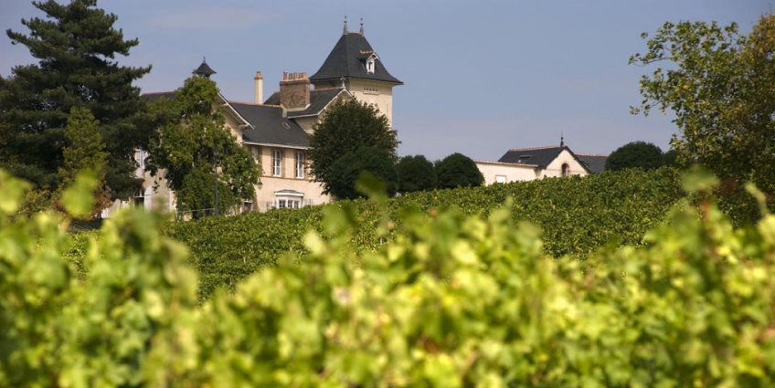 Best Wineries of the Loire Valley - Chateau Soucherie