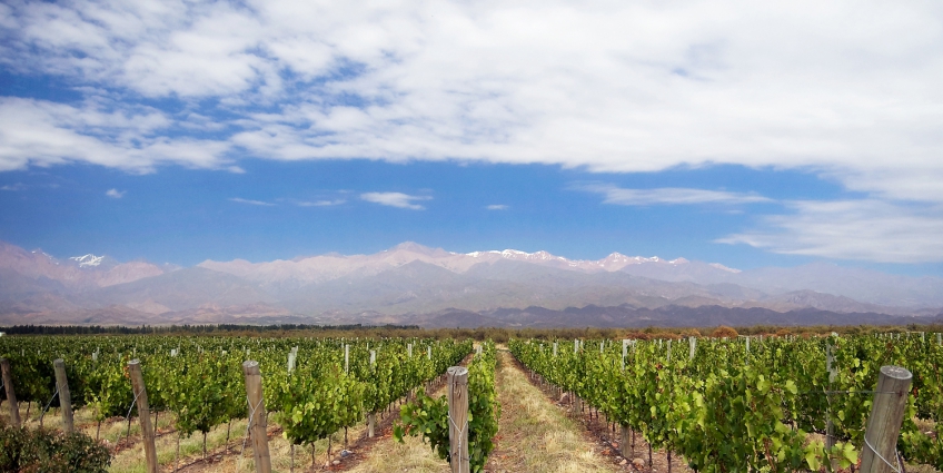 Top 10 Wine Producing Regions of the World - Argentina