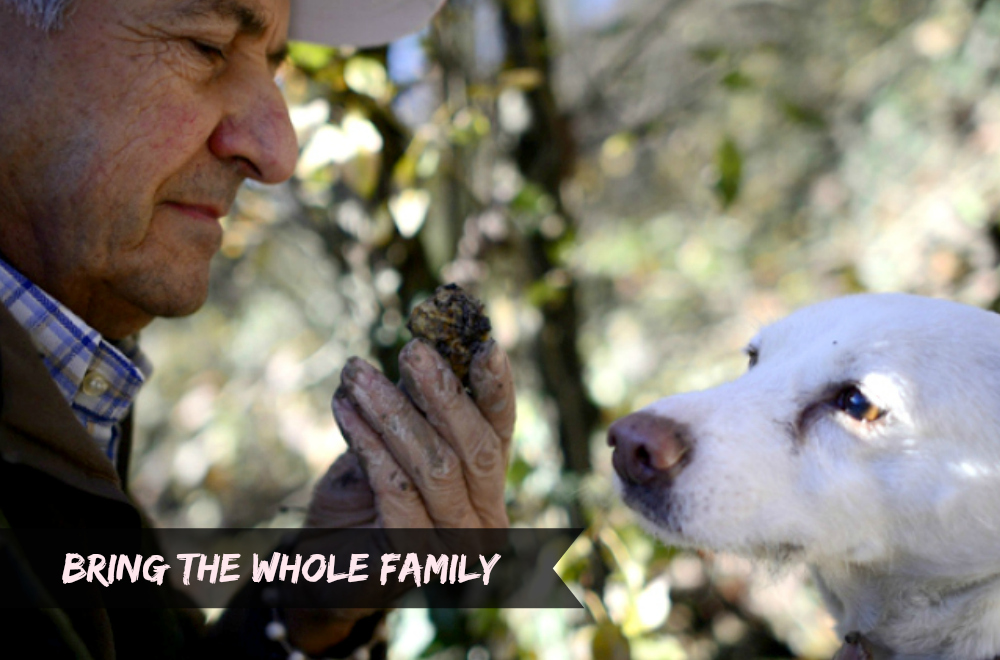 Alba International White Truffle Fair