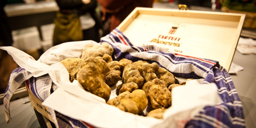 White truffle display