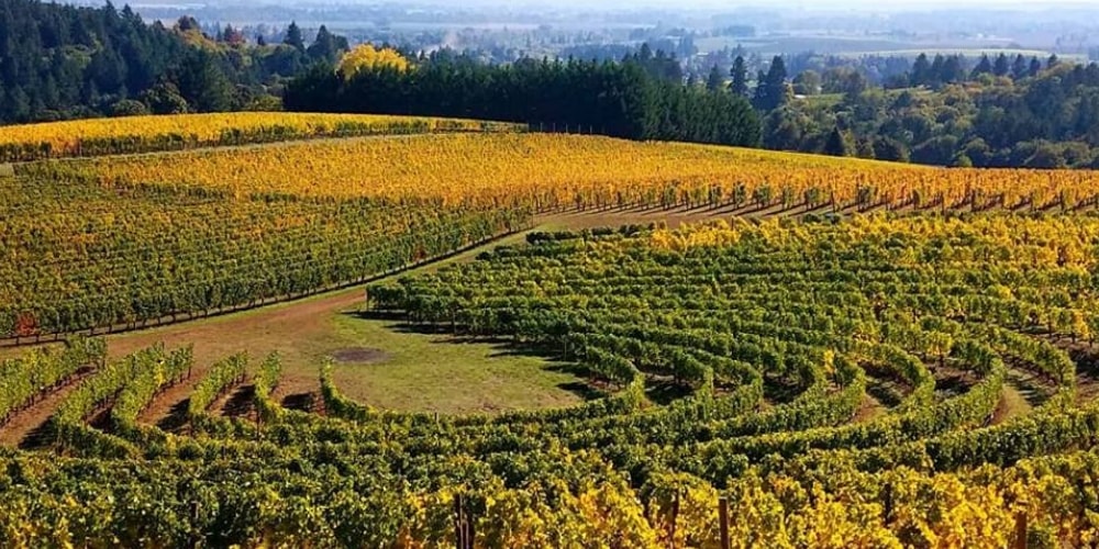 best time of year to visit oregon wine country