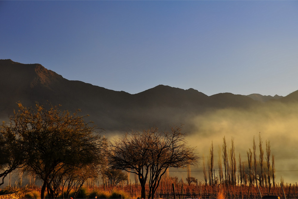 Argentina best wineries