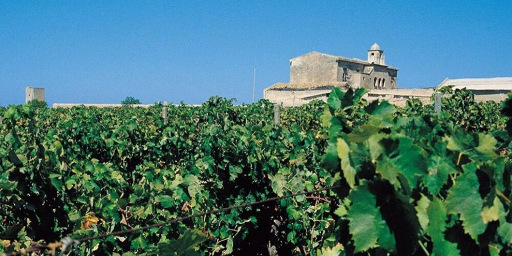Baglio Baiata Alagna - Best Wineries in Sicily, Winerist
