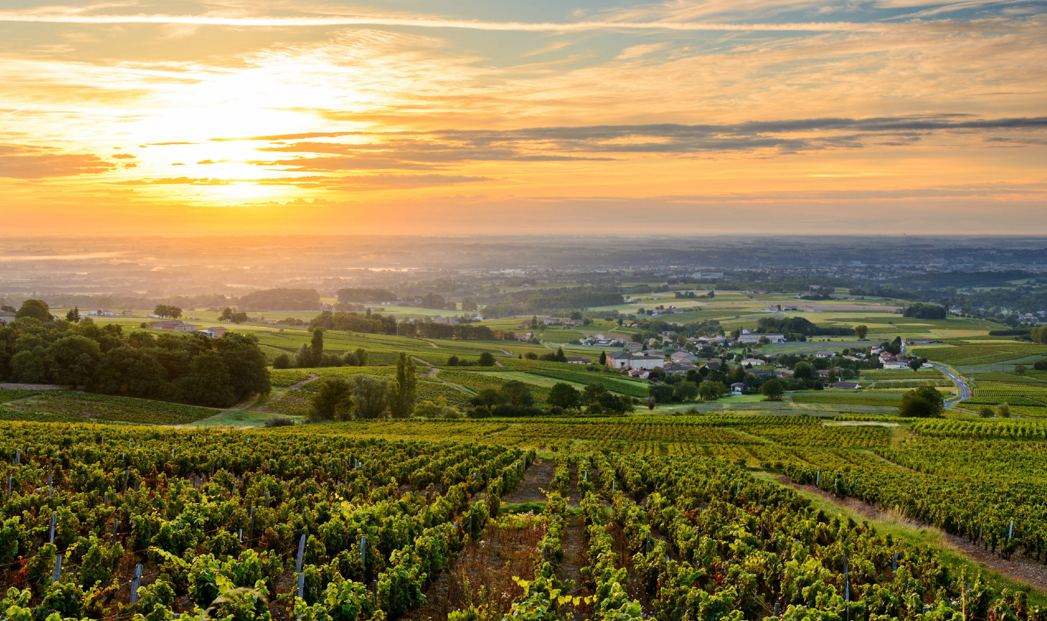 Sunset at Beaujolais Valley