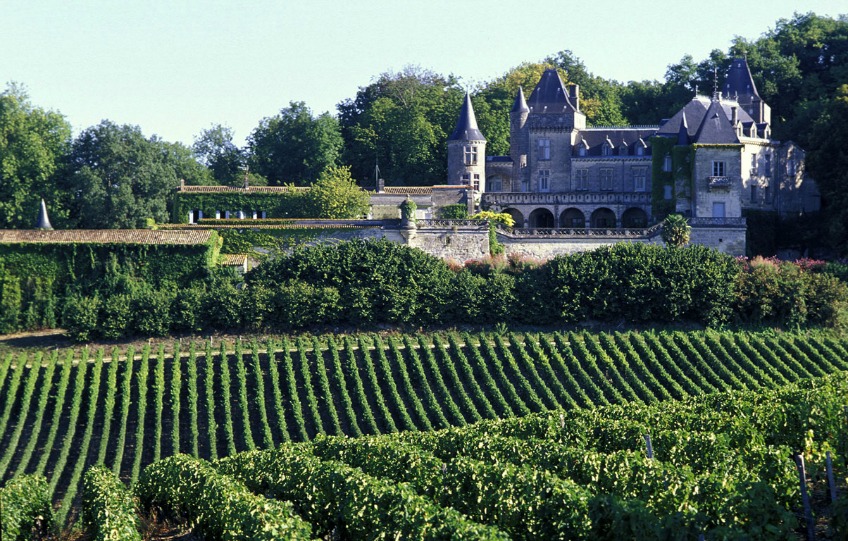 vineyard in Fronsac, Gironde, FRANCE