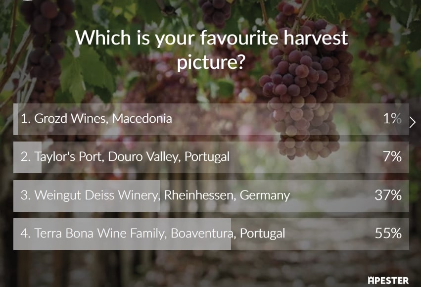 Best Harvest Picture Competition 2019 Winner, Winerist