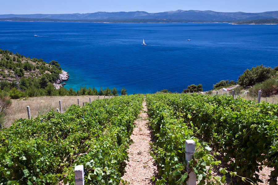 Best tips for wine travel in Croatia