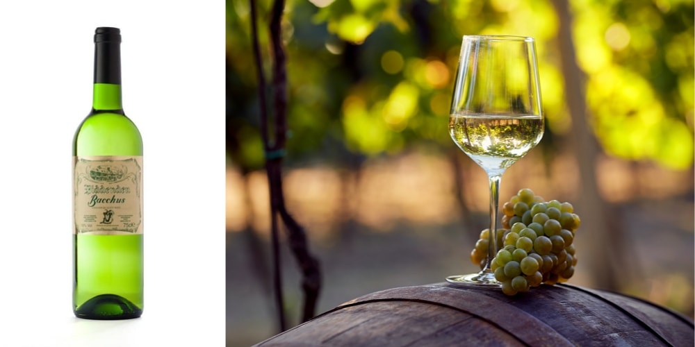 Biddenden Vineyards Bacchus 2017, Best English Wines from Kent, Winerist