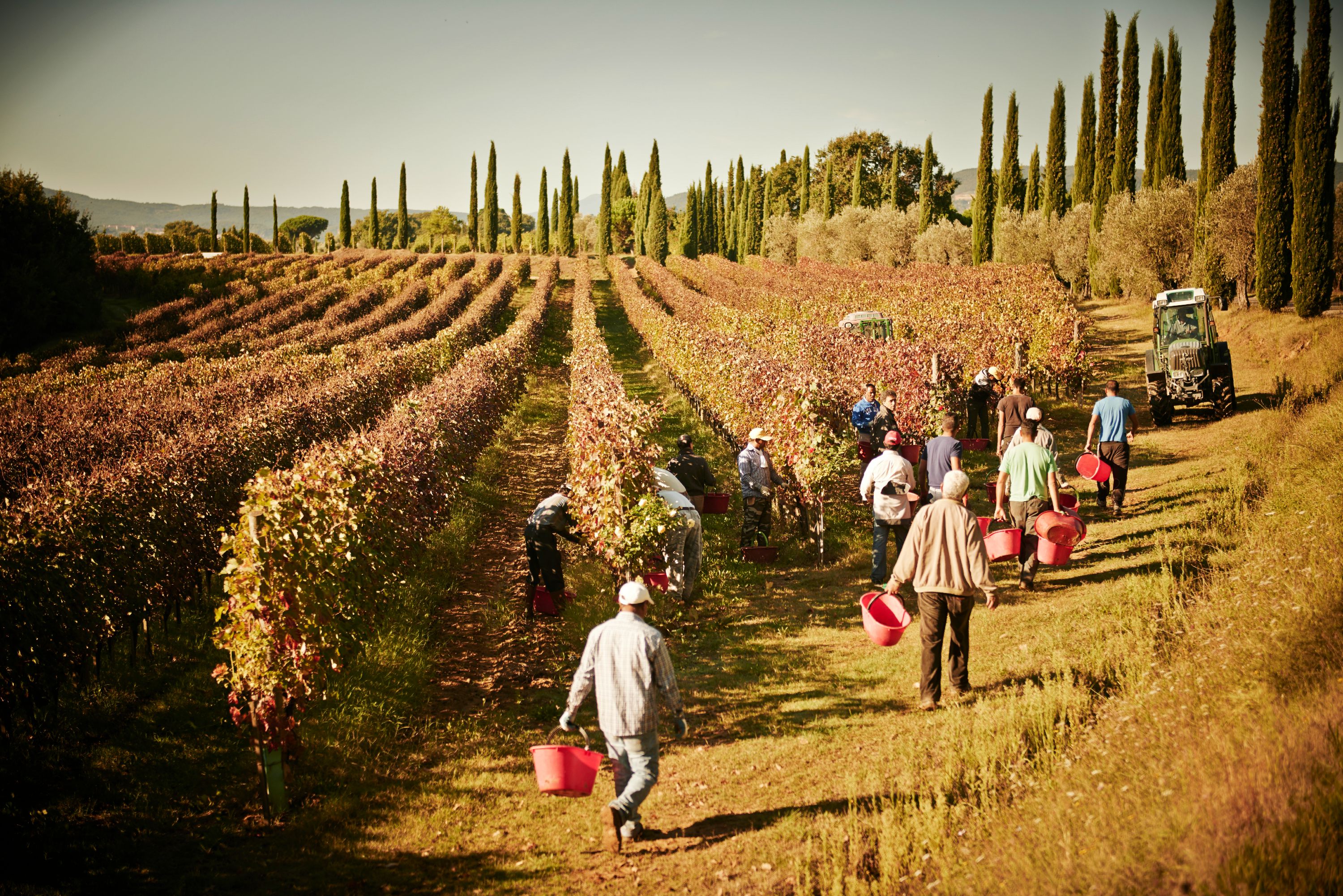 Bindella Winery in Montepulciano