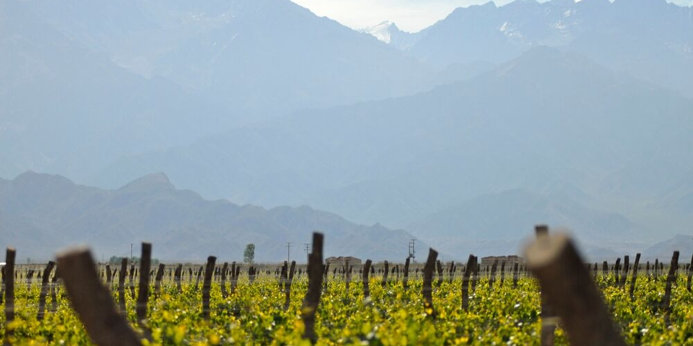 Bodega O. Fournier Mendoza Argentina, Winerist