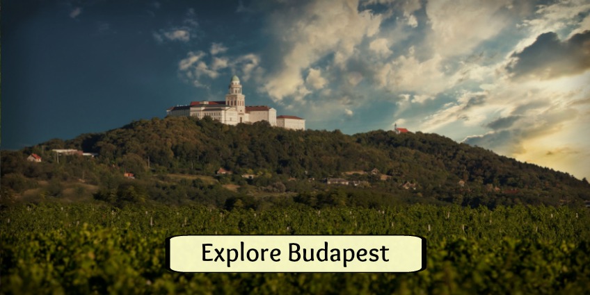 Budapest wine tours
