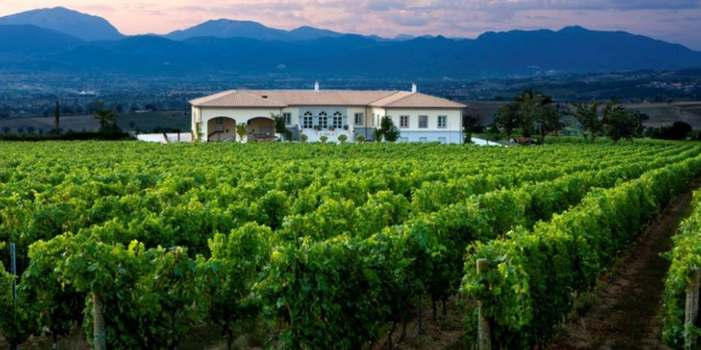 Cantine Lungarotti Best Wineries to Visit in Umbria Winerist.com