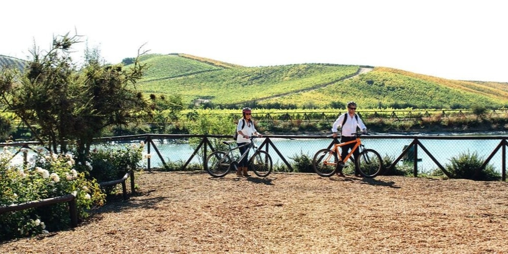 Casas del Bosque, Best Wineries in Casablanca Valley, Chile, Winerist
