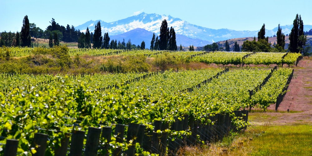 Central Otago, Wine Regions of New Zealand, Winerist