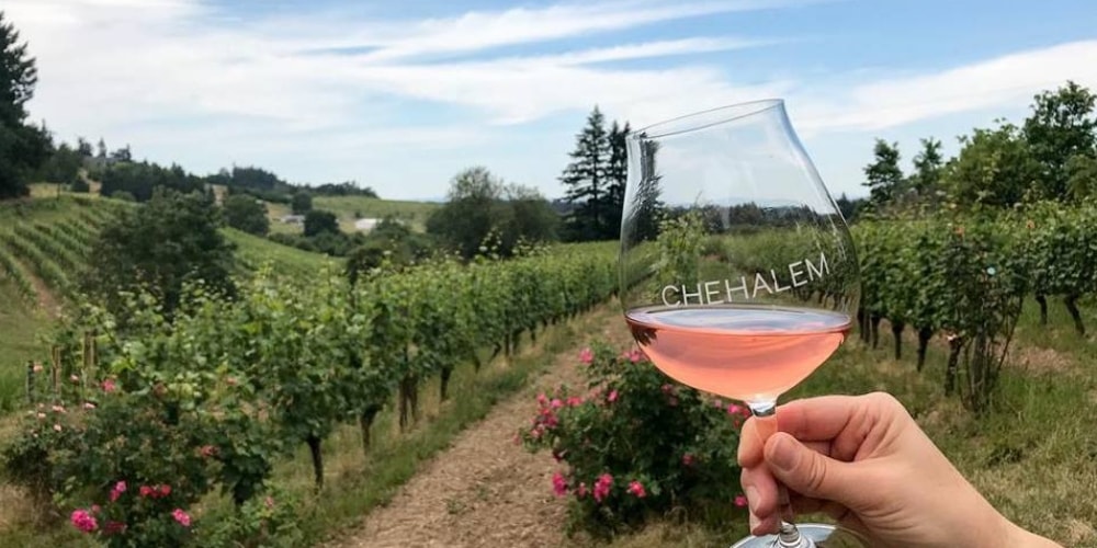Chehalem Wines Best Wineries in Oregon winerist