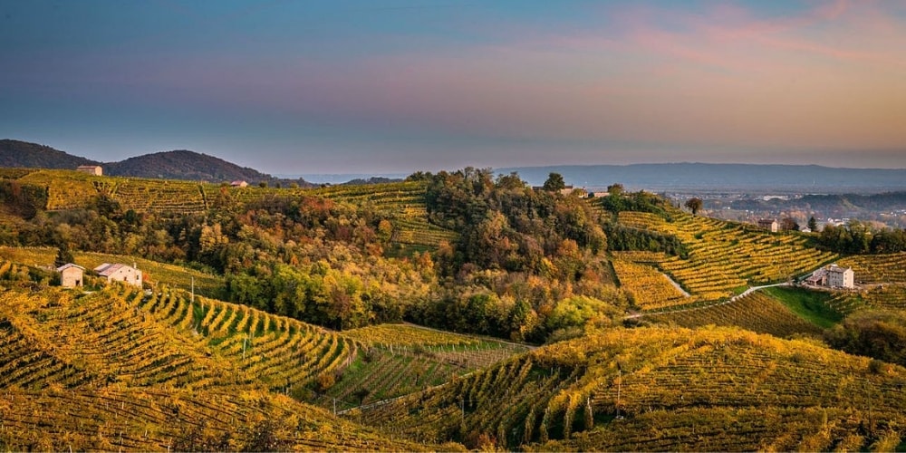 Conegliano Valdobbiadene Prosecco Winerist