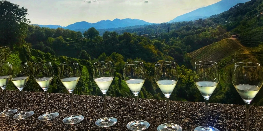 Conegliano Valdobbiadene Prosecco Winerist