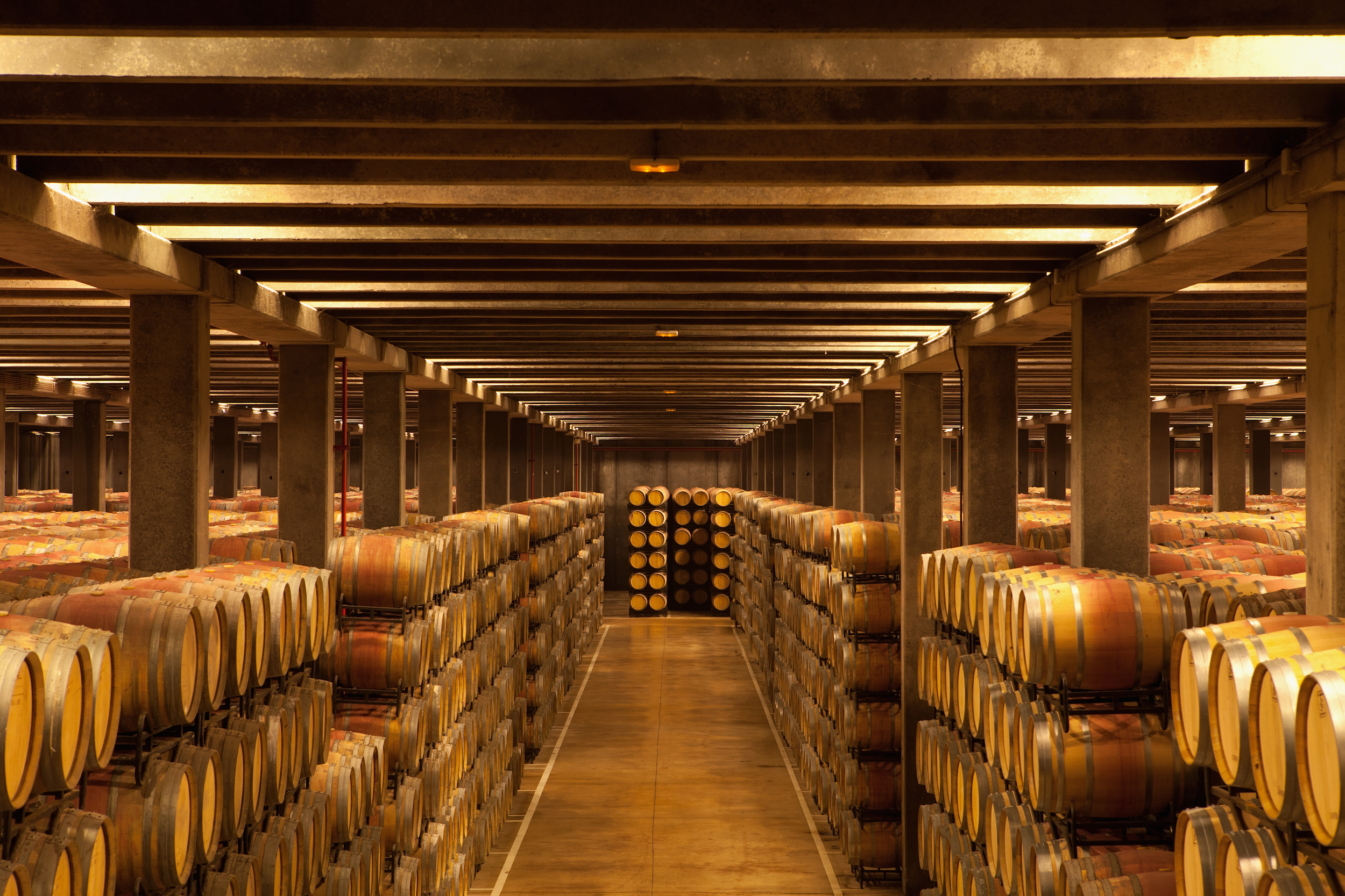 Winerist Tour of Rioja and wine cellar tasting
