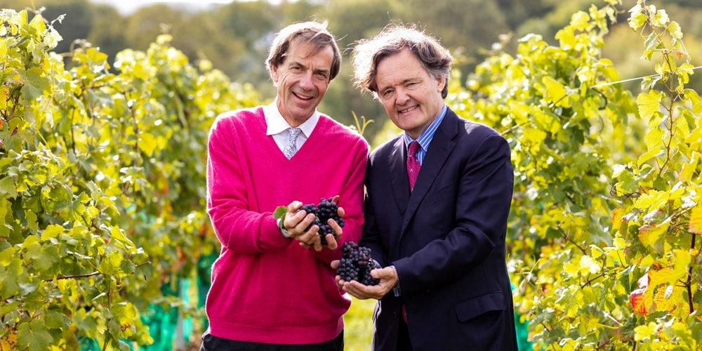 Domaine Evremond, Discovering the Wineries of Kent, Winerist