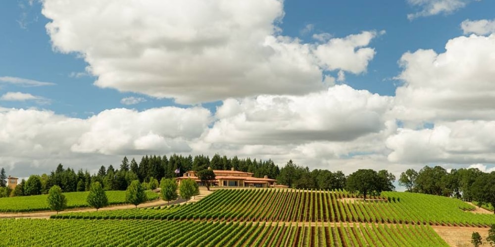 Domaine Serene Best Wineries to Visit in Oregon winerist