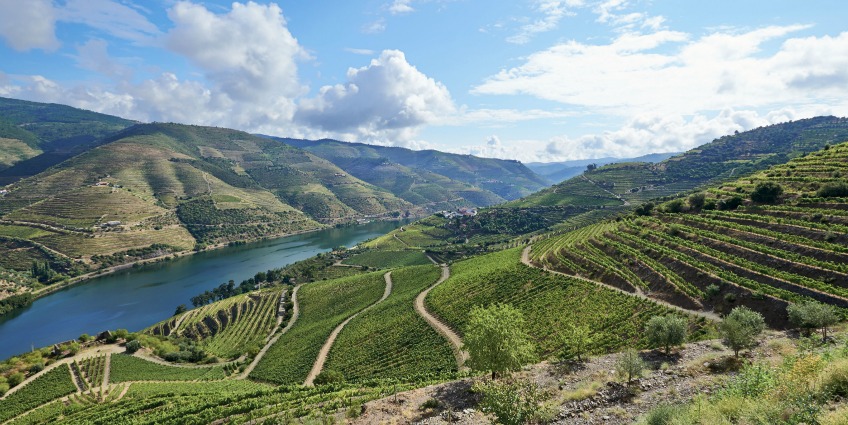 Douro Valley - Picture 