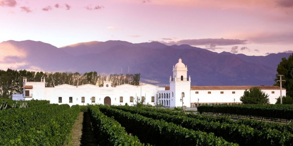 El Esteco top 5 wineries Salta winerist