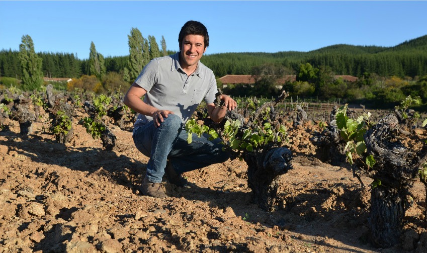 Felipe Ramirez, Chief Winemaker and Bouchon Family Wines