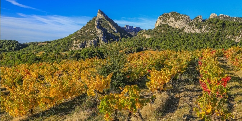 Breathtaking views in France