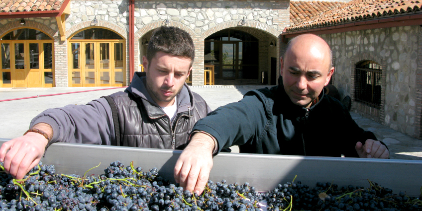 Meet the winemakers at Schuchmann Wines