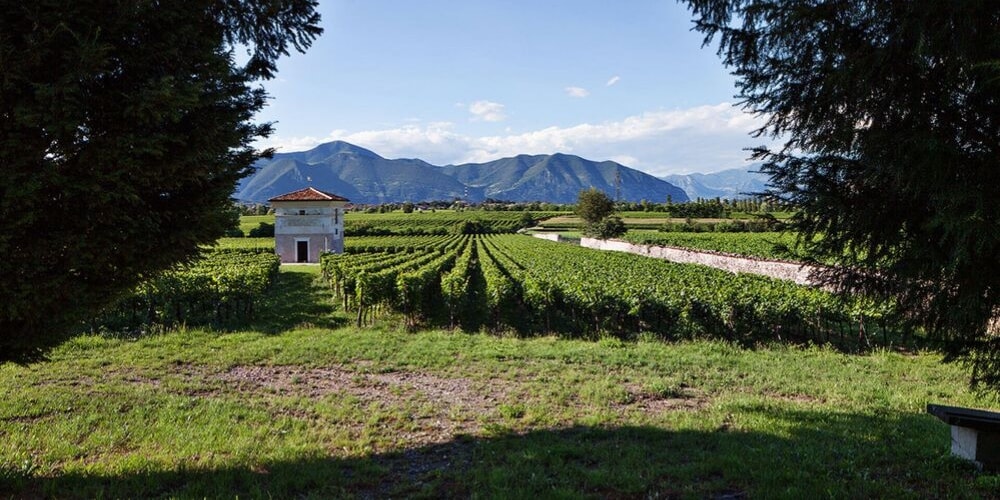 Guido Berlucchi, The Best Wineries in Franciacorta, Winerist