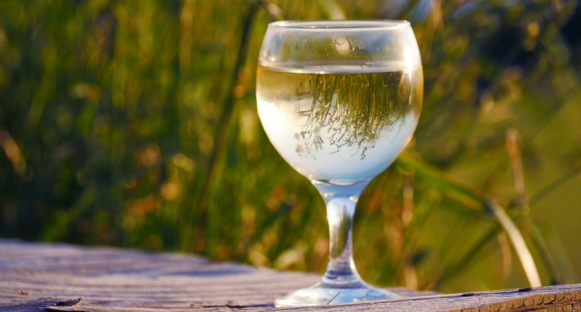 Choosing the perfect wine glasses 3