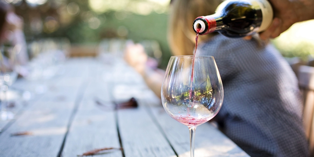 International Pinotage Day Festival in South Africa, Winerist