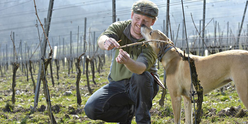 Jenkyn Place winemaker