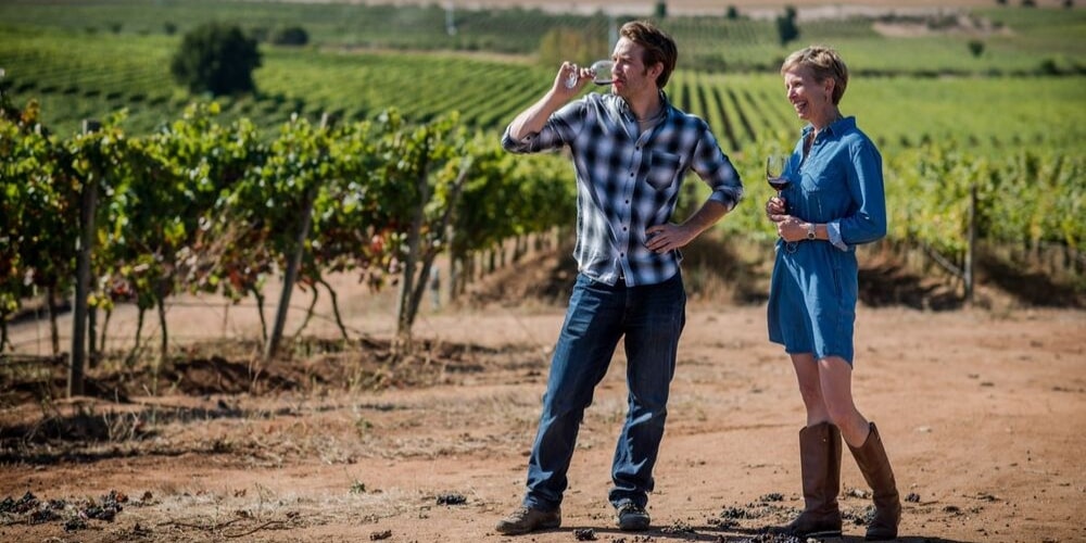 Kingston Family Vineyards, Best Wineries in Casablanca Valley, Chile, Winerist