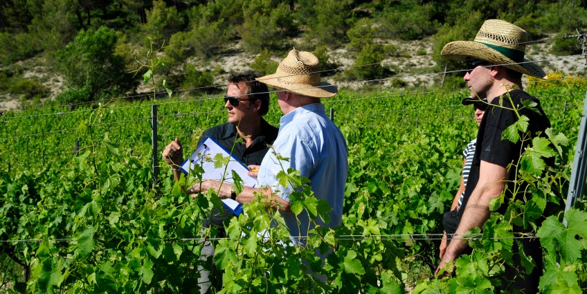 la verriere vineyards in provence