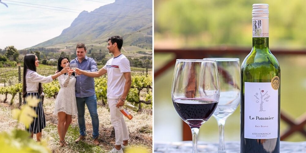Le Pommier, The Best Wineries to Visit in Stellenbosch, Winerist